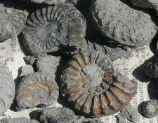 mineraux